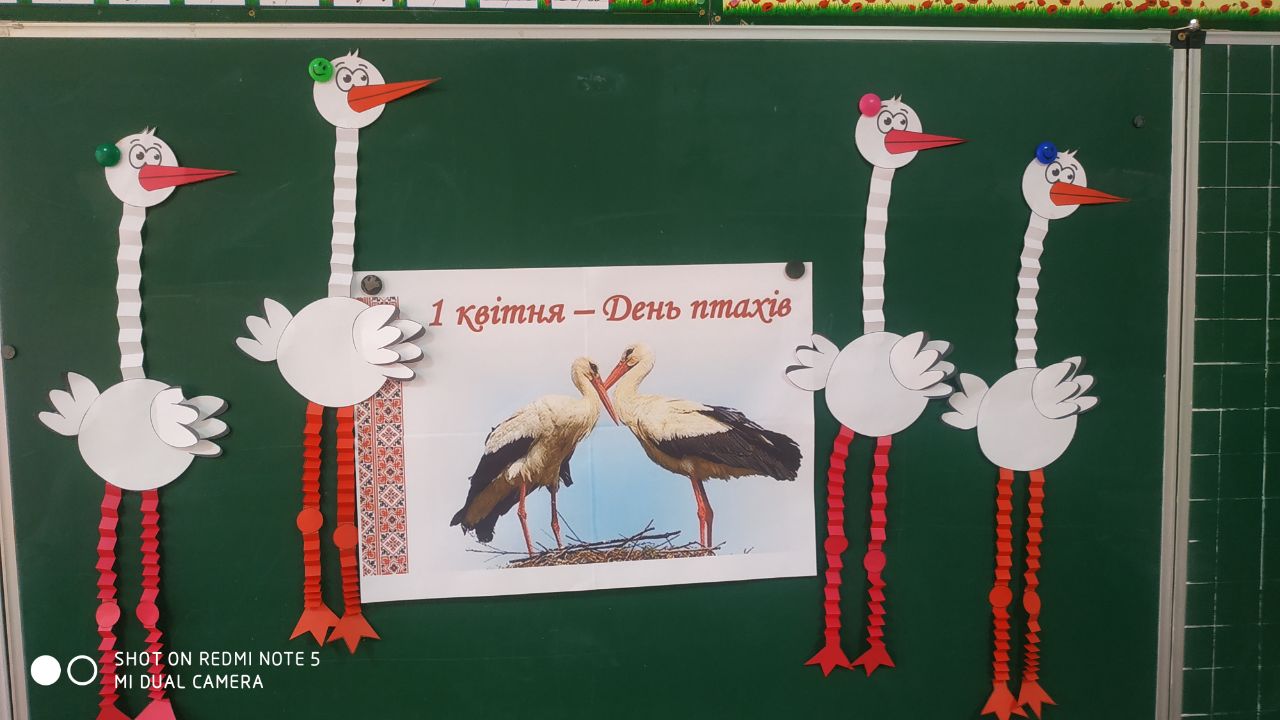 Міжнародний день птахів.